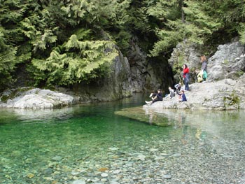 DSC00515
