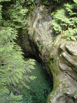 DSC00530