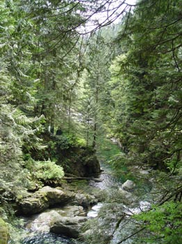DSC00532