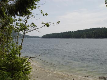 DSC00583