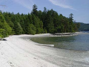 DSC00585